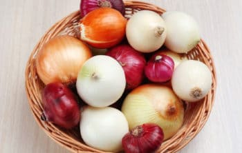 💖 Nutrition And Benefits of Onion for Hair, Skin and Health