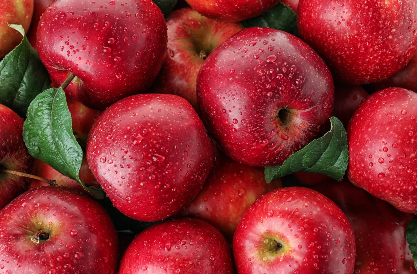Apple: Nutrition, Health Benefits, Usage and Side Effects