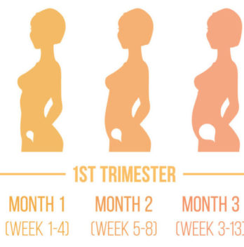 💖 First Trimester Of Pregnancy: What to Expect, Do’s and Don’ts