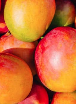 💖 Mango: Nutrition and Health Benefits for Daibetes, Immunity, Eyes and More