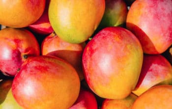 💖 Mango: Nutrition and Health Benefits for Daibetes, Immunity, Eyes and More