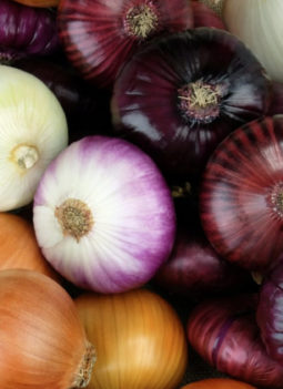 💖 Onion: Nutrition And Benefits for Hair, Skin and Health