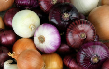 💖 Onion: Nutrition And Benefits for Hair, Skin and Health