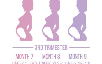 💖 Third Trimester Of Pregnancy: Baby Development, Diet, Exercise, Warnings