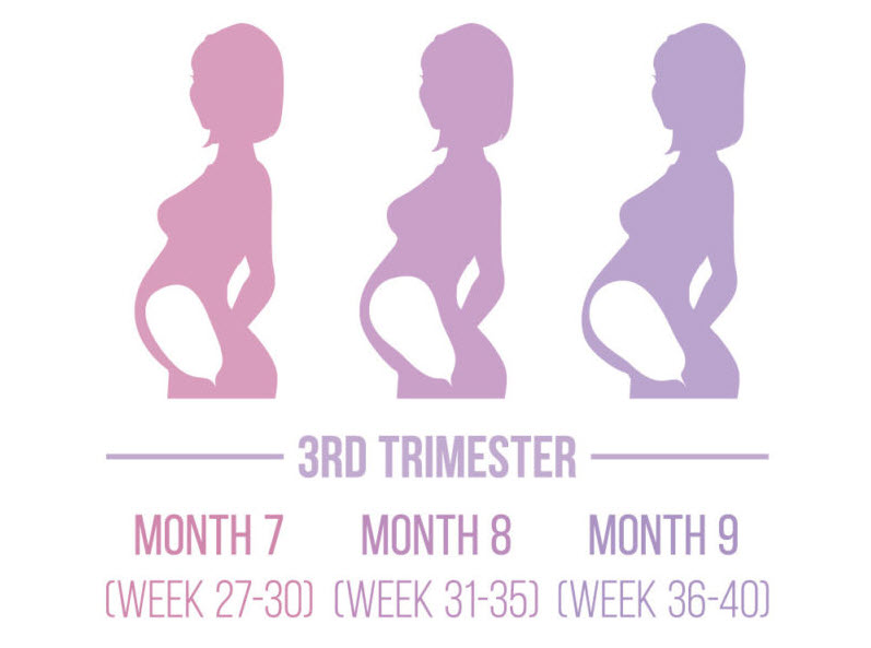 third-trimester-of-pregnancy-baby-development-diet-exercise-warnings