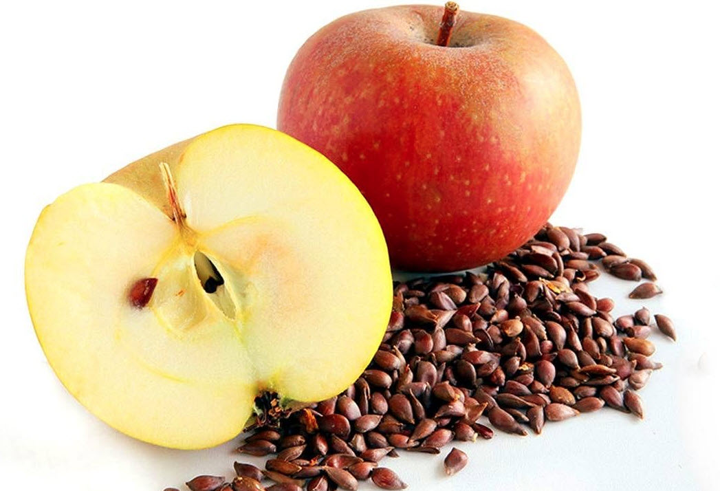 What happens if you eat apple seeds