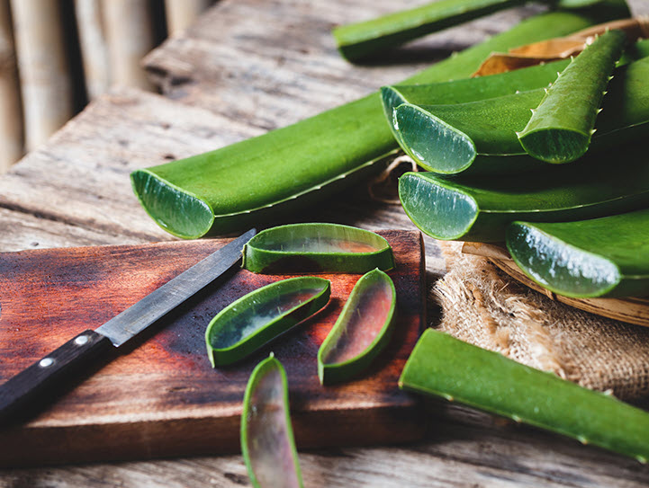 What is aloe vera good for