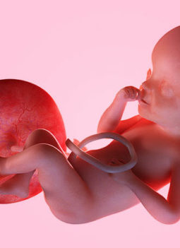 💖 Placenta Previa: Types, Causes, Symptoms & Complications