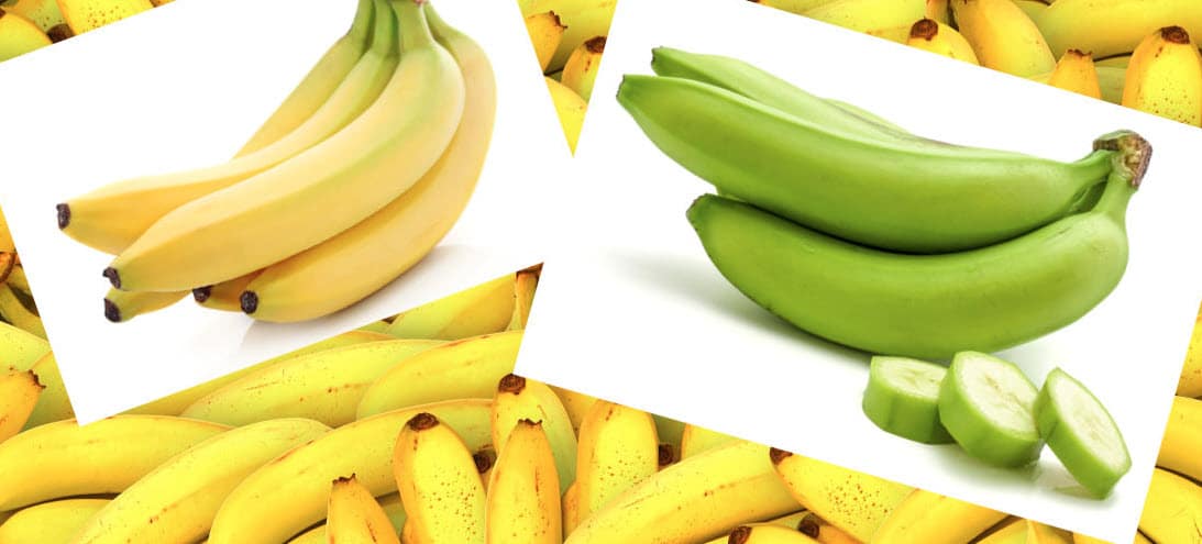 what is the difference between bananas and plantains
