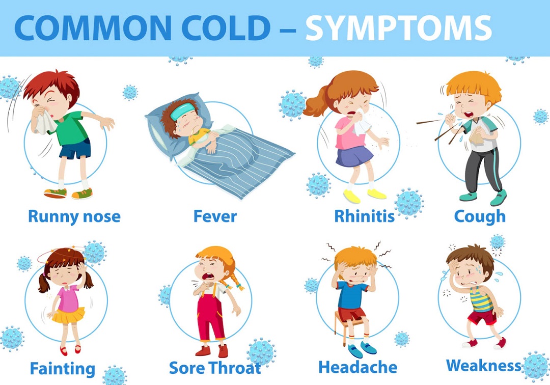What are the symptoms of a cold
