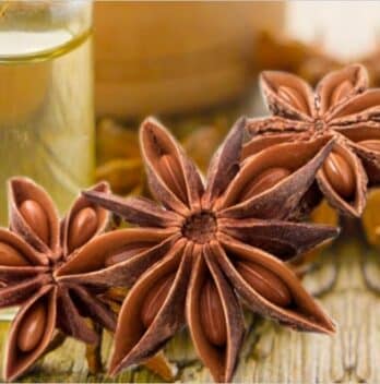 Anise Oil: Benefits, Uses, and How to Incorporate It into Your Life