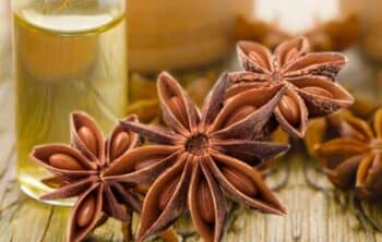 Anise Oil: Benefits, Uses, and How to Incorporate It into Your Life