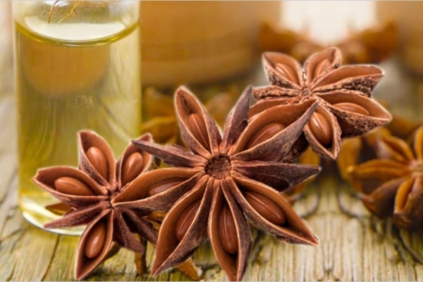 Anise Oil