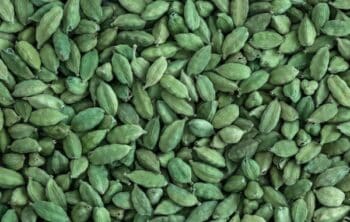 Green Cardamom: The Aromatic Spice with Incredible Health Benefits