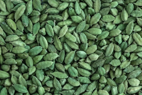 Green Cardamom