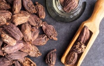 Top 10 Health Benefits of Black Cardamom