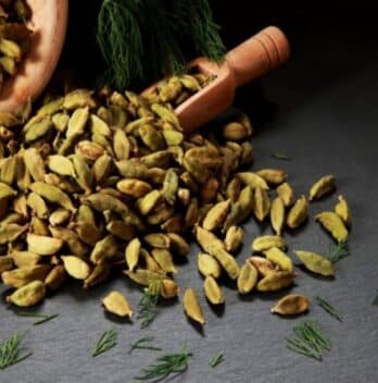 Is Cardamom Common in Italy? Exploring Its Use in Italian Cuisine and Beyond