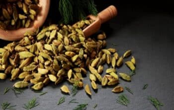 Is Cardamom Common in Italy? Exploring Its Use in Italian Cuisine and Beyond