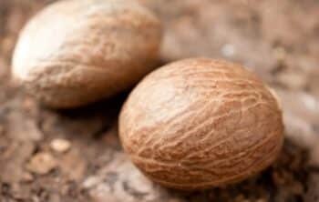 Is Nutmeg a Tree Nut? Understanding Its Origin and Allergen Risks