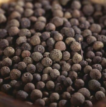 Top 10 Medicinal Benefits of Allspice