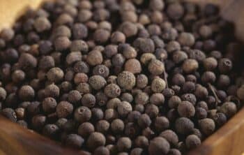 Top 10 Medicinal Benefits of Allspice