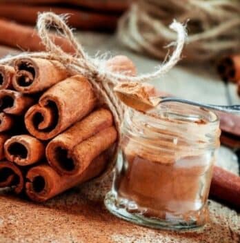 Top 10 Medicinal Benefits of Cinnamon