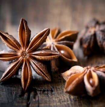 What Does Anise Taste Like? A Complete Guide to Its Flavor and Uses