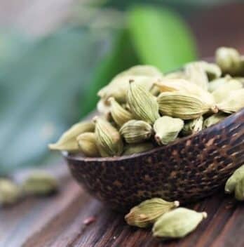 What Does Cardamom Smell Like? A Guide to Its Aroma and Health Benefits