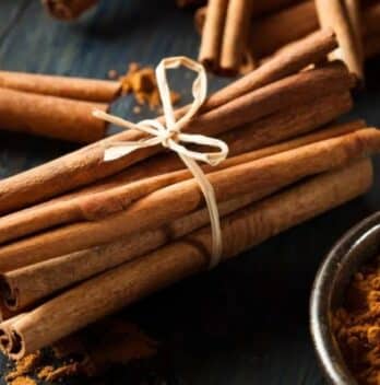 Why Do All the Plants Smell Like Cinnamon? Unraveling the Mystery